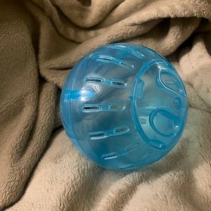 Exercise ball for small pet